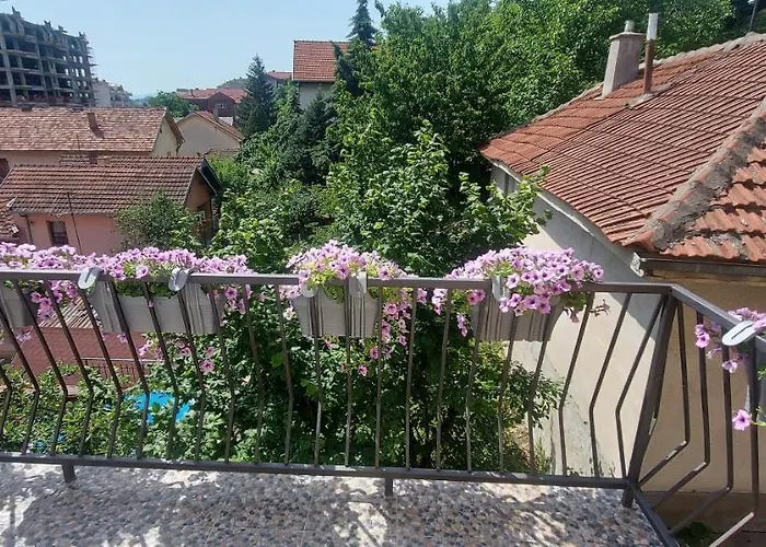 Apartment Vladan