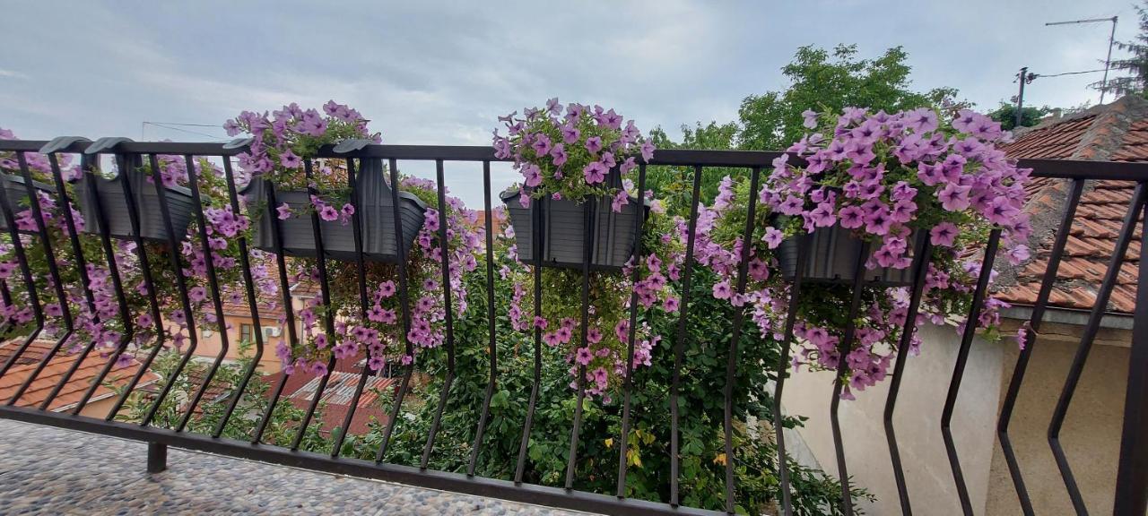 Appartement Vladan Kumanovo